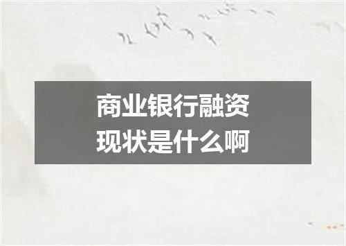 商业银行融资现状是什么啊