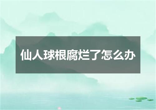 仙人球根腐烂了怎么办