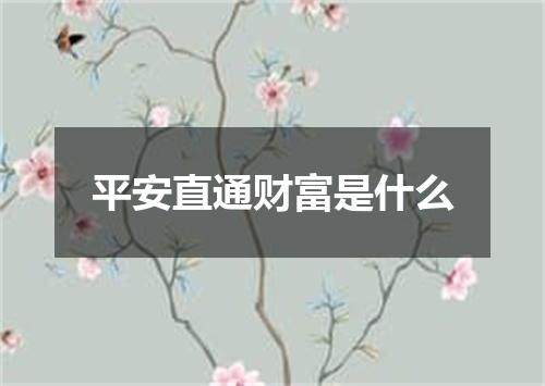 平安直通财富是什么