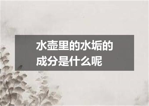 水壶里的水垢的成分是什么呢