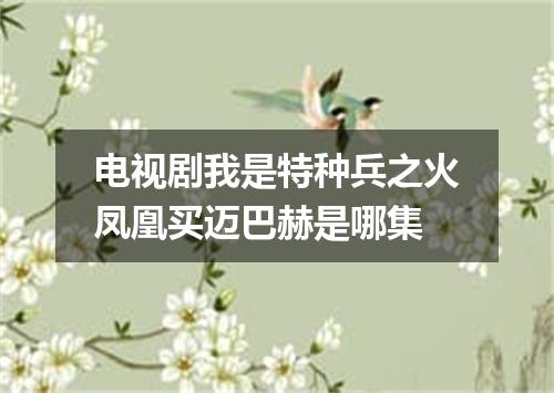 电视剧我是特种兵之火凤凰买迈巴赫是哪集