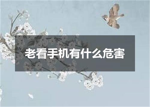 老看手机有什么危害