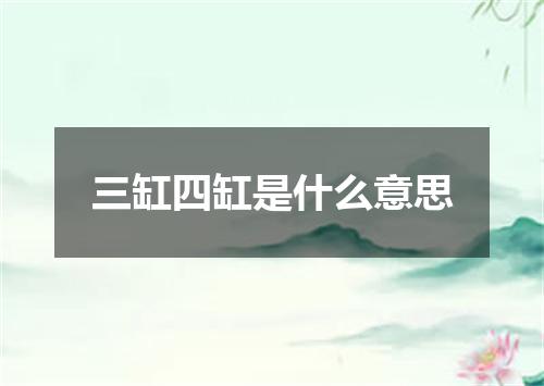 三缸四缸是什么意思