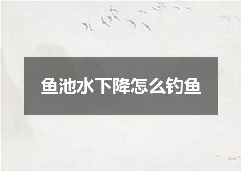 鱼池水下降怎么钓鱼