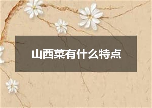 山西菜有什么特点