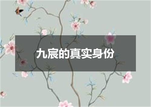 九宸的真实身份