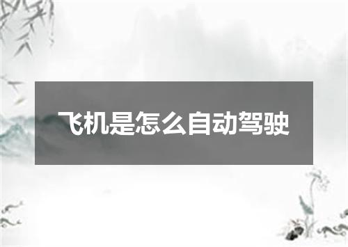 飞机是怎么自动驾驶