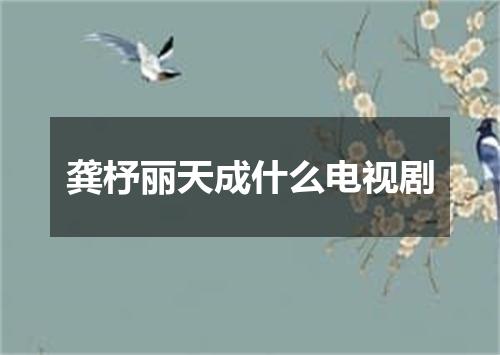 龚杼丽天成什么电视剧