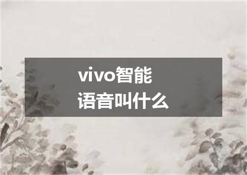 vivo智能语音叫什么