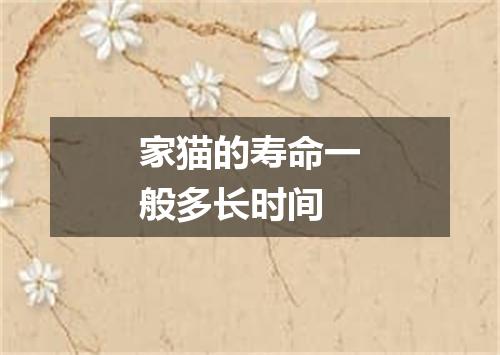 家猫的寿命一般多长时间