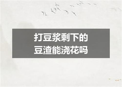 打豆浆剩下的豆渣能浇花吗