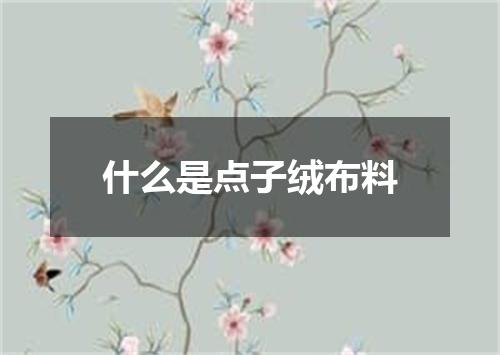 什么是点子绒布料