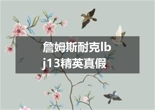 詹姆斯耐克lbj13精英真假