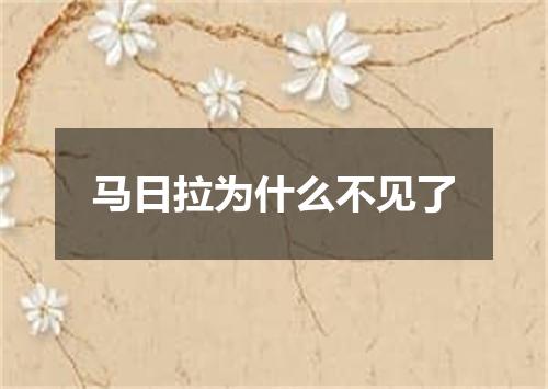 马日拉为什么不见了
