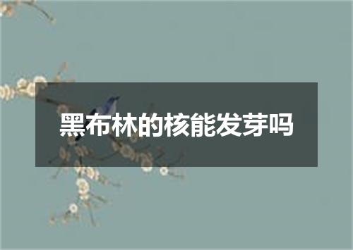 黑布林的核能发芽吗