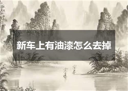 新车上有油漆怎么去掉