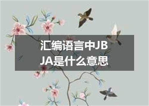 汇编语言中JBJA是什么意思