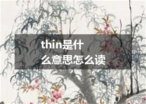 thin是什么意思怎么读
