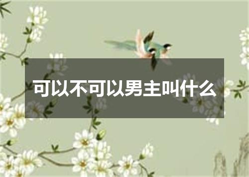 可以不可以男主叫什么
