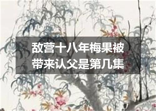 敌营十八年梅果被带来认父是第几集