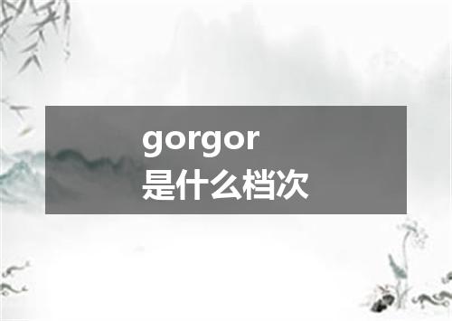 gorgor是什么档次