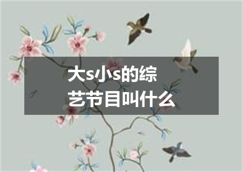 大s小s的综艺节目叫什么