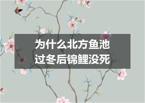 为什么北方鱼池过冬后锦鲤没死