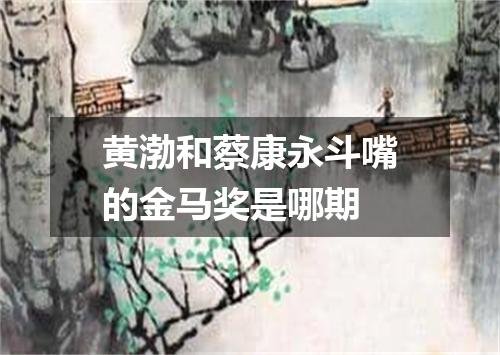 黄渤和蔡康永斗嘴的金马奖是哪期