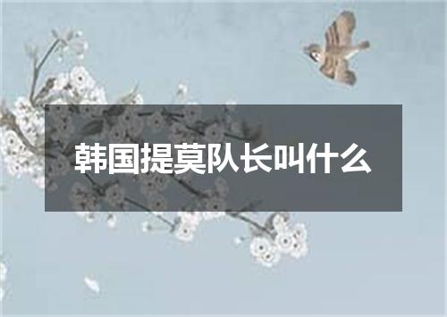 韩国提莫队长叫什么