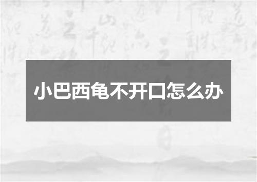 小巴西龟不开口怎么办