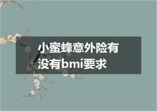 小蜜蜂意外险有没有bmi要求