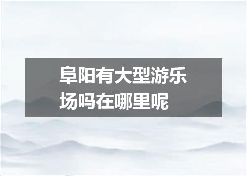 阜阳有大型游乐场吗在哪里呢