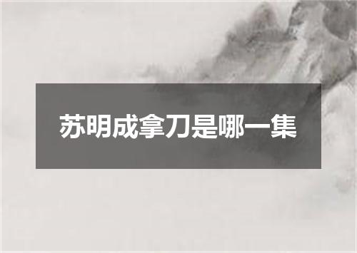 苏明成拿刀是哪一集