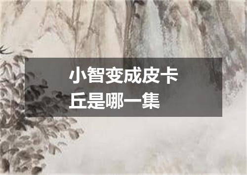 小智变成皮卡丘是哪一集