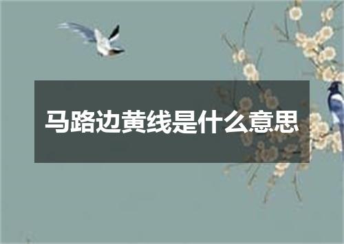 马路边黄线是什么意思