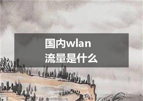 国内wlan流量是什么