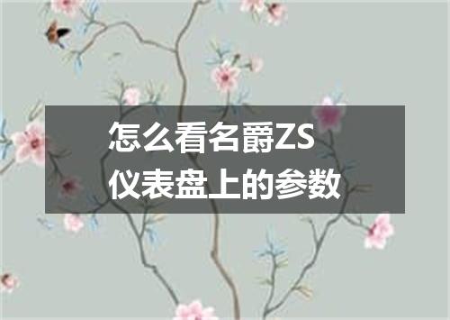 怎么看名爵ZS仪表盘上的参数