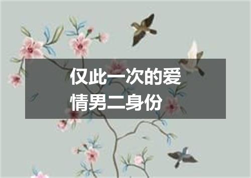 仅此一次的爱情男二身份