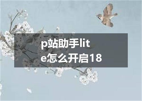 p站助手lite怎么开启18