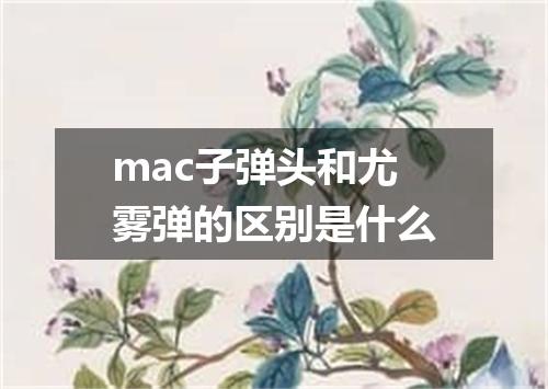 mac子弹头和尤雾弹的区别是什么