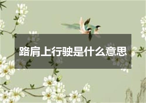 路肩上行驶是什么意思