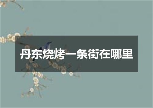 丹东烧烤一条街在哪里