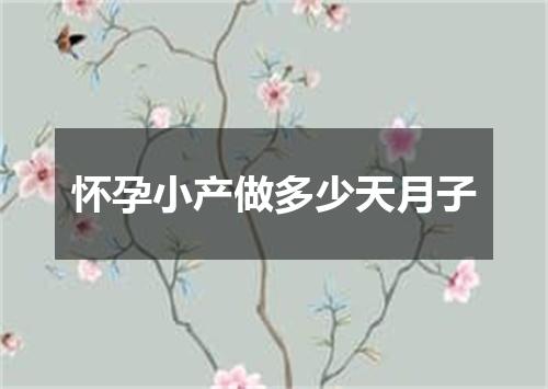 怀孕小产做多少天月子