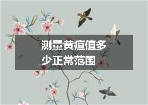 测量黄疸值多少正常范围