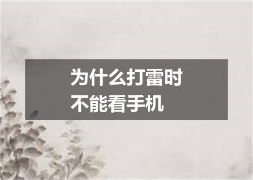 为什么打雷时不能看手机