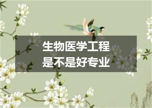 生物医学工程是不是好专业