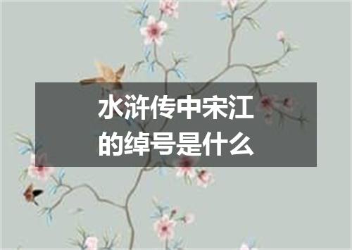 水浒传中宋江的绰号是什么