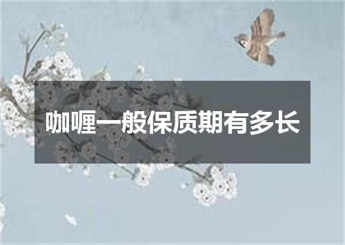 咖喱一般保质期有多长