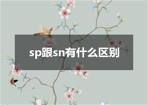 sp跟sn有什么区别