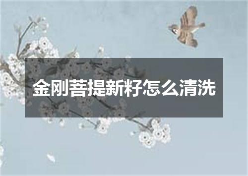 金刚菩提新籽怎么清洗